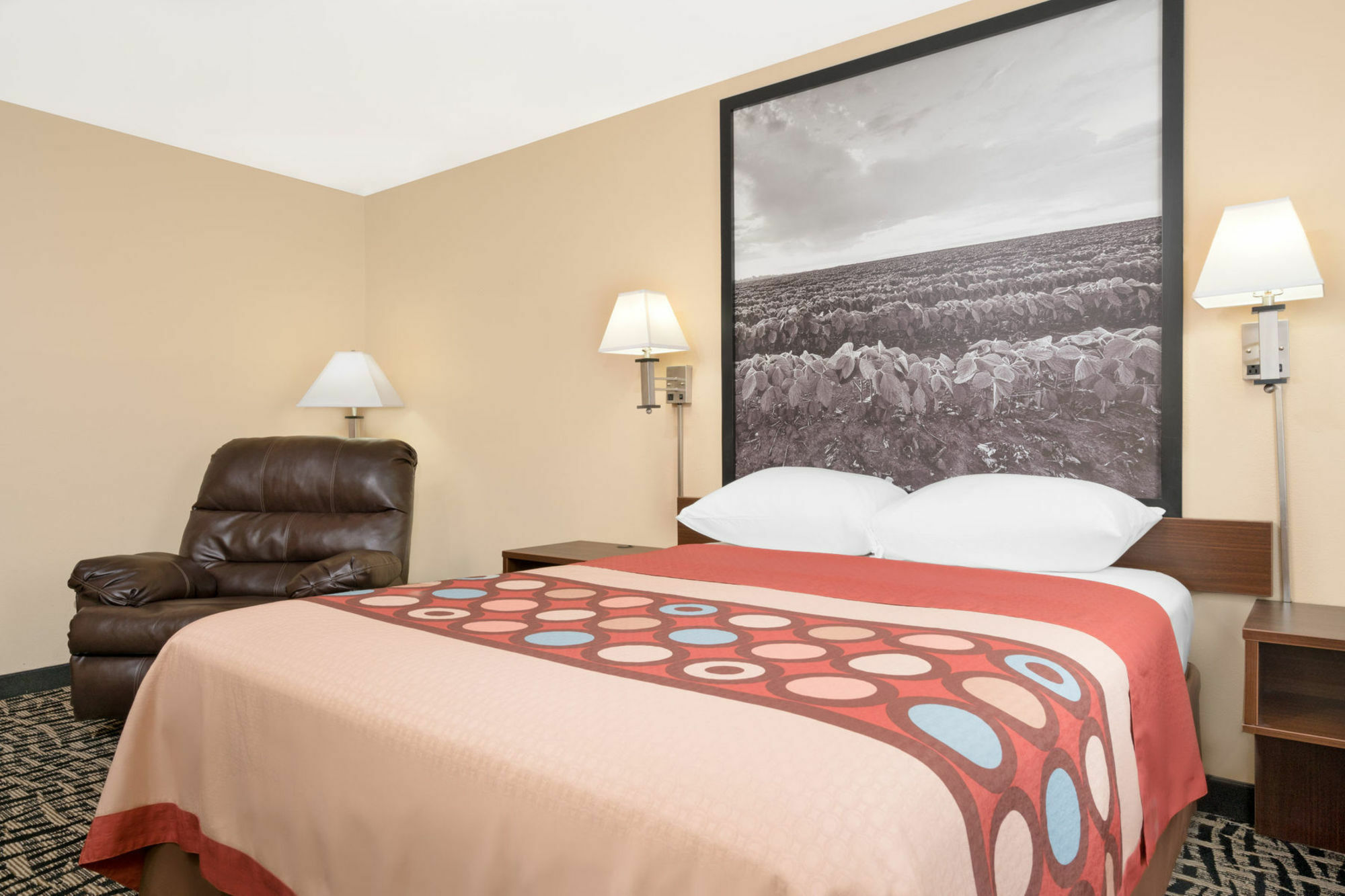 Super 8 By Wyndham Rochester Mayo Clinic Area Extérieur photo